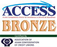 Access Bronze Award